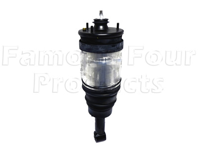 Shock Absorber and Air Spring Assembly