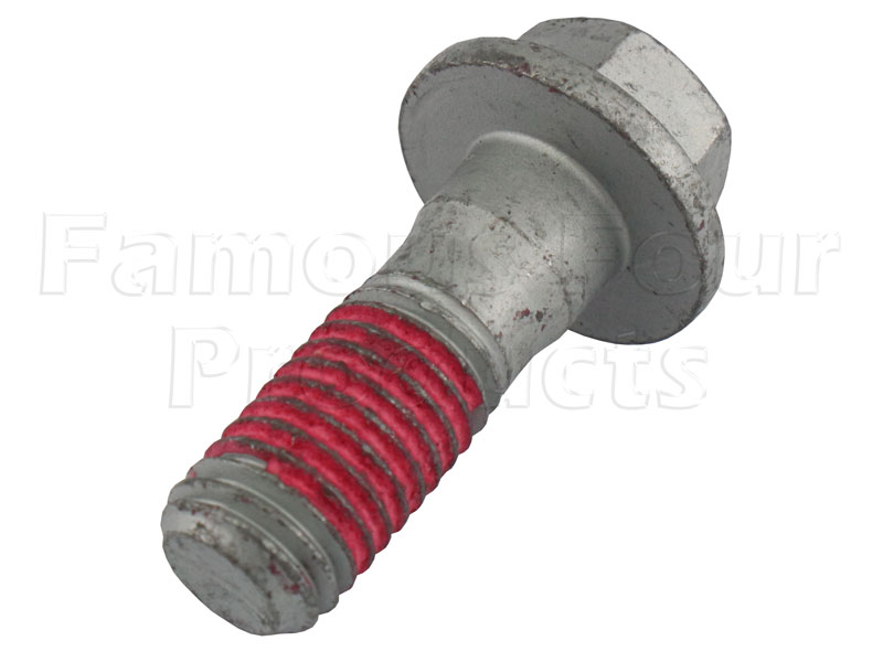 Bolt - Brake Caliper Fixing