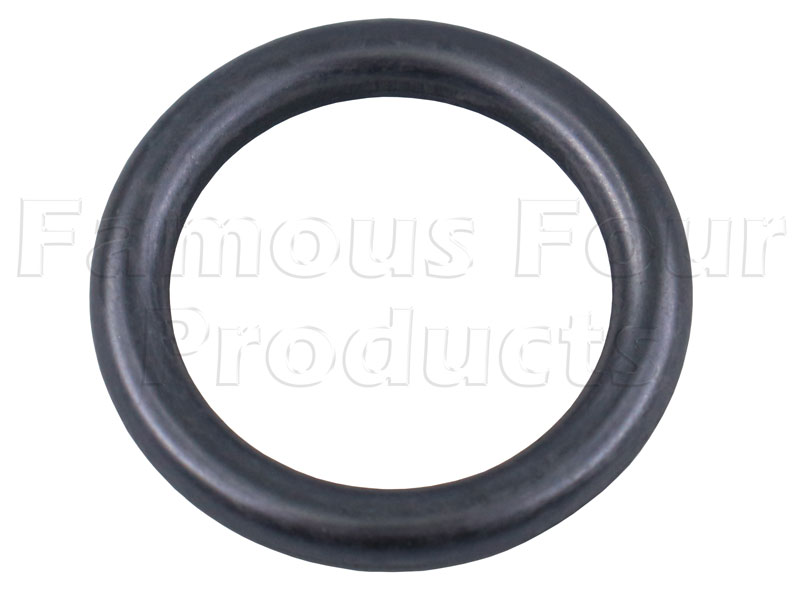 O Ring - Engine Oil Cooler