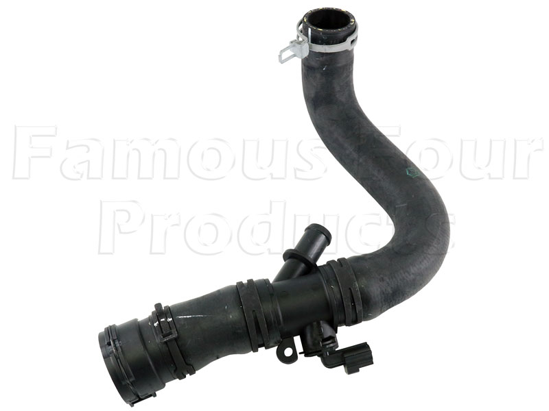 Hose - Bottom Radiator