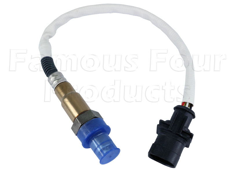 Exhaust Gas Oxygen Sensor