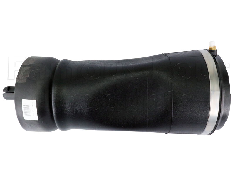 Air Spring - Rear