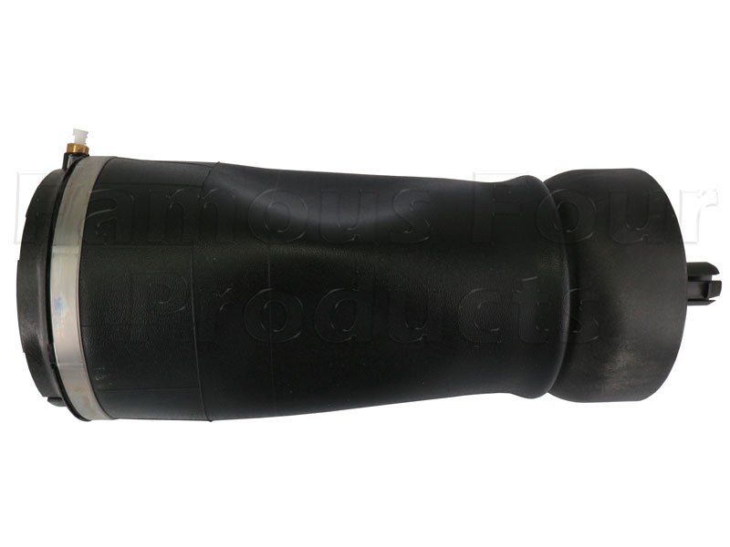 Air Spring - Rear