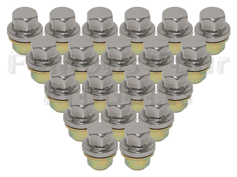 Wheel Nuts for Alloy Wheels - Stainless Capped - Set of 20 Nuts