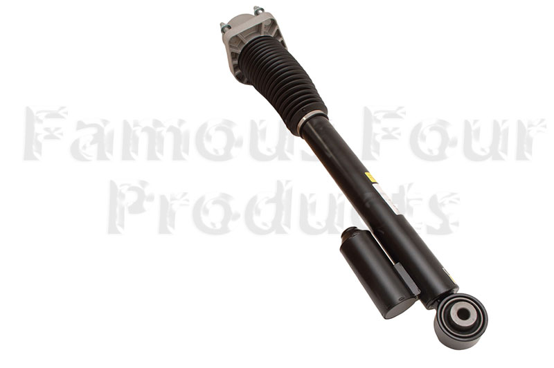 Shock Absorber - Rear