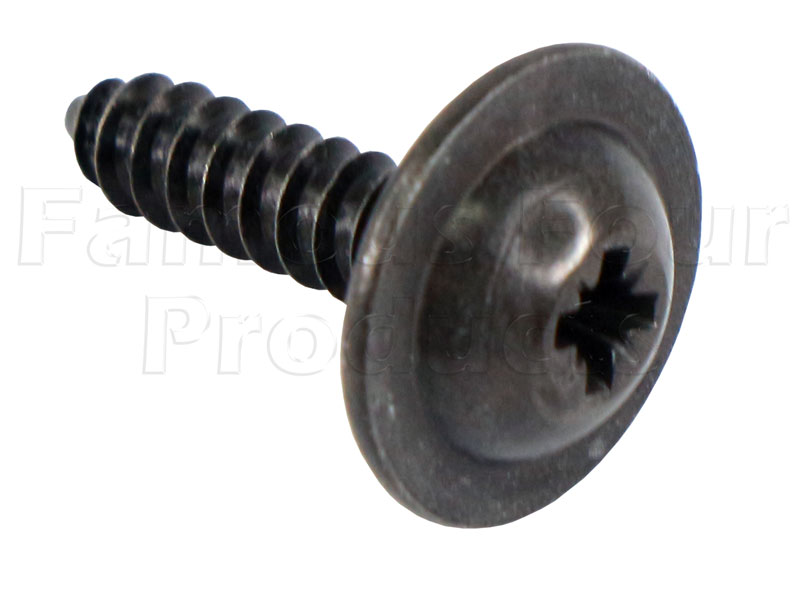 Trim Fixing Screw
